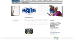 Desktop Screenshot of centroasistencialcastilla.com